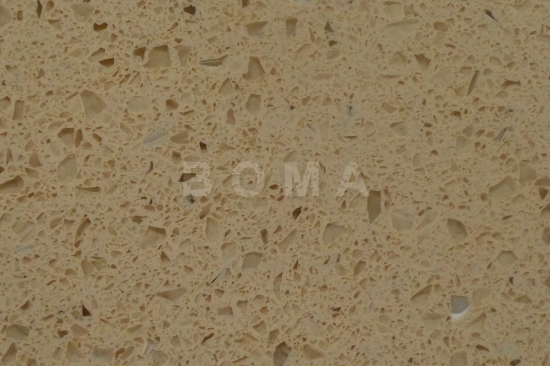 The photo of this product.